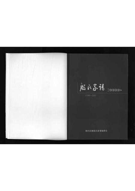 9837.山西朔州后寨殷氏家谱 [不分卷](别名：殷氏家谱, 1540-2007、Shan Xi Shuo Zhou Hou Zhai Cun Yin Shi Jia Pu、山西朔州后寨村殷氏家谱、山西朔州后寨村殷氏家谱).pdf电子版插图2