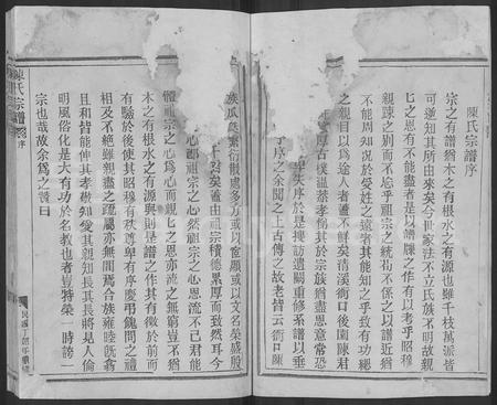 4036.陈氏宗谱 [不分卷].pdf电子版插图2