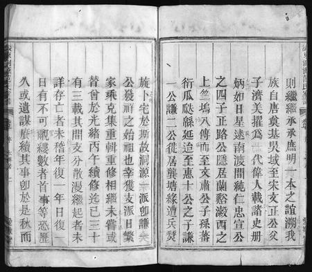 4108.龙门范氏家谱 [4卷](别名：忠宣房太傅派龙门范氏宗谱、忠宣房濲东范氏家谱、Long Men Fan Shi Jia Pu、濲东洞源范氏家谱、龙门范氏家谱).pdf电子版插图2