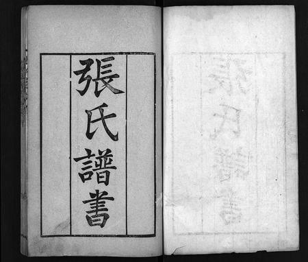 10377.张氏家谱 [上函11卷,含卷首,下函12卷](别名：张氏谱书、泰安张氏家谱、Zhang Shi Jia Pu、张氏家谱).pdf电子版插图2