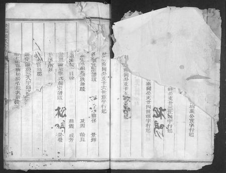 4299.松阳赖氏宗谱 [11卷].pdf电子版插图2