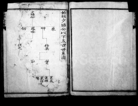 4303.漎溪李氏族谱(别名：法华李氏族谱).pdf电子版插图2