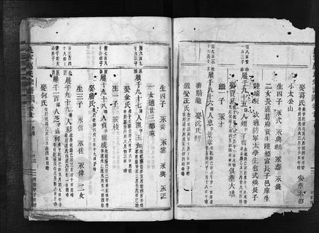 4327.吴宁厉氏宗谱 [残卷](别名：Wuning Lishi Zongpu、吴宁厉氏宗谱).pdf电子版插图2