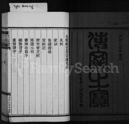 4541.王氏宗谱.pdf电子版插图2