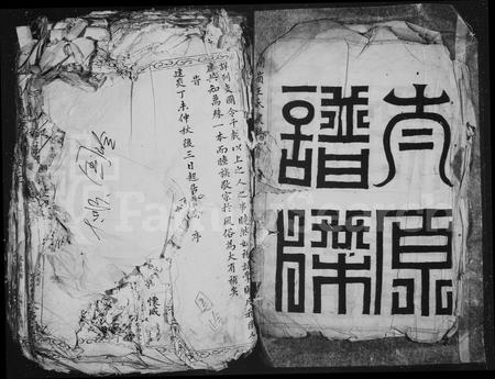 4553.国岭王氏族谱.pdf电子版插图2 4553.国岭王氏族谱.pdf电子版插图2