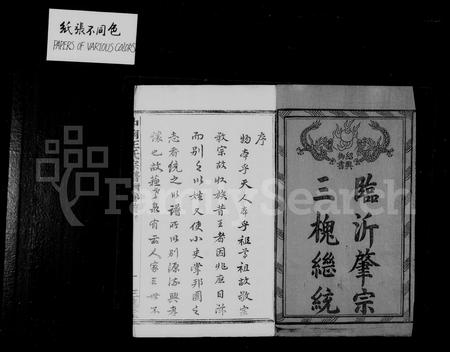 4573.中南王氏宗谱 [12卷,首1卷].pdf电子版插图2