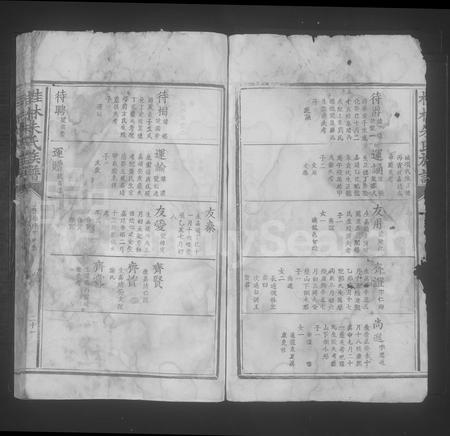 4889.桂林朱氏族谱 [不分卷].pdf电子版插图2