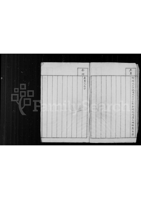 辽宁白氏-文秀公子子孙孙图谱 [存卷2].pdf电子版插图5