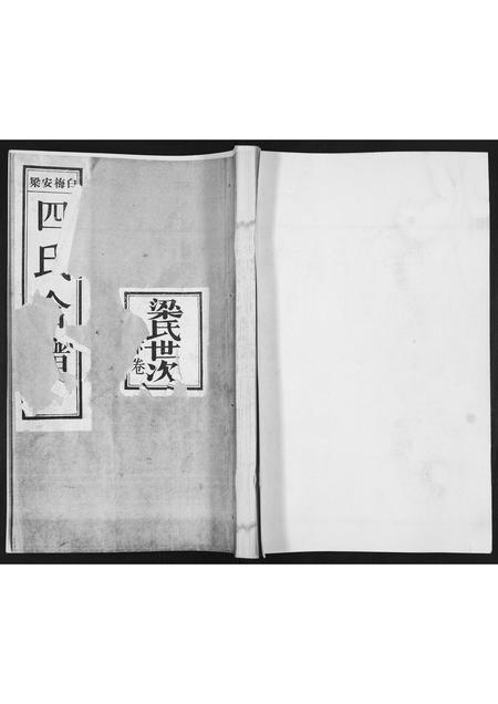 山东白氏梅氏安氏梁氏-白梅安梁四氏合谱.pdf电子版插图