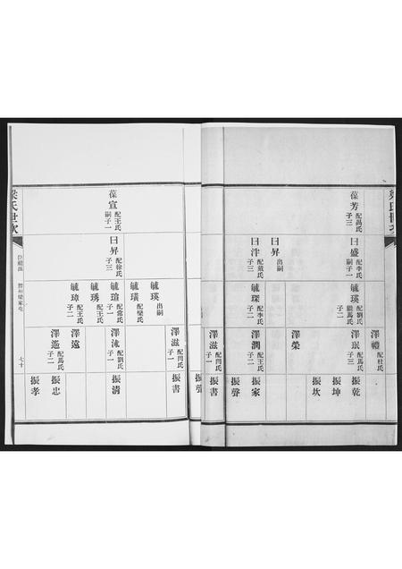 山东白氏梅氏安氏梁氏-白梅安梁四氏合谱.pdf电子版插图3