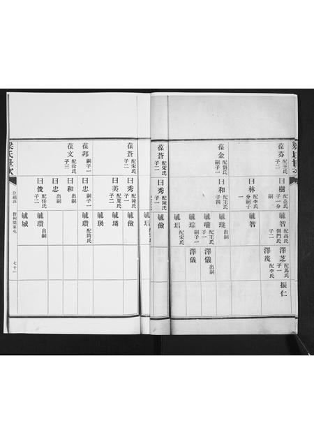 山东白氏梅氏安氏梁氏-白梅安梁四氏合谱.pdf电子版插图4