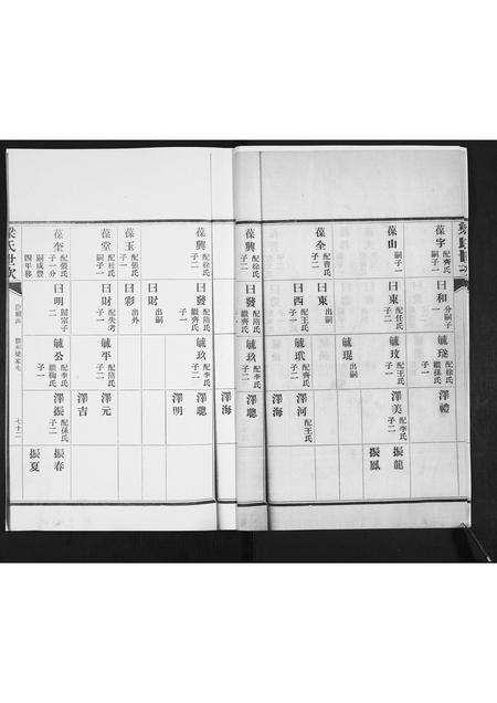 山东白氏梅氏安氏梁氏-白梅安梁四氏合谱.pdf电子版插图5