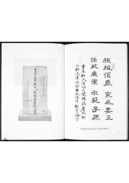 山东柏氏-章东柏氏.pdf电子版插图3