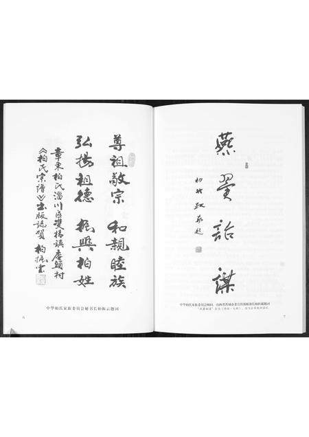 山东柏氏-章东柏氏.pdf电子版插图4