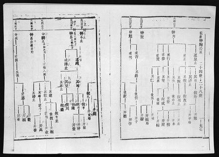 3742.廖氏族谱 [残卷](别名：Liao Shi Zu Pu、廖氏族谱).pdf电子版插图3