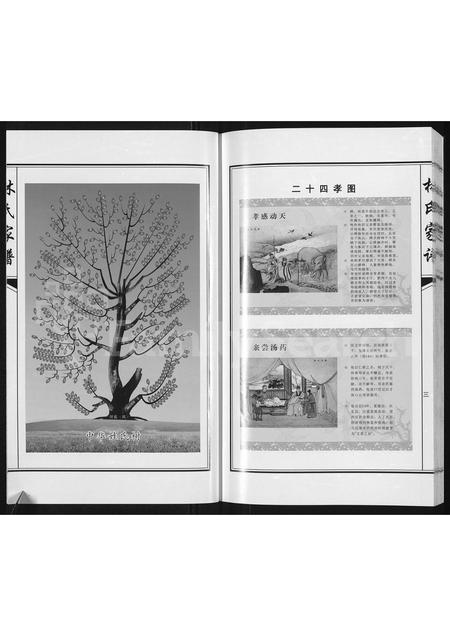 3782.林氏家谱 ： 靖西县荣劳街双桂堂(别名：林氏家谱).pdf电子版插图3