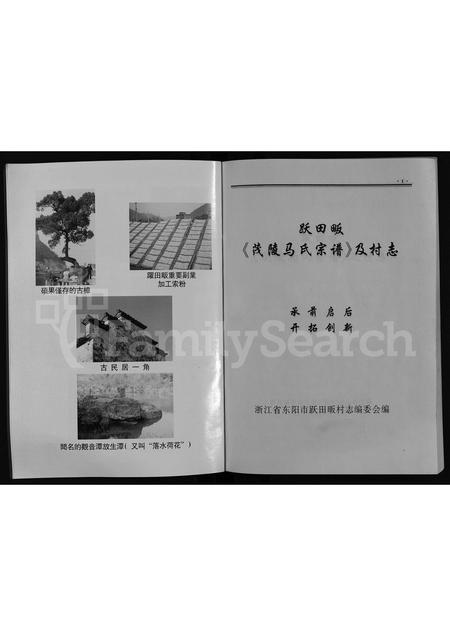 4390.茂陵马氏宗谱 [不分卷](别名：跃田畈茂陵马氏宗谱及村志、茂陵马氏宗谱).pdf电子版插图3