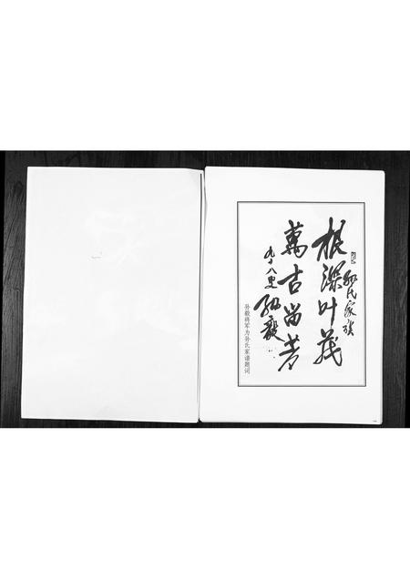5801.乐安山桓台西店孙氏世谱 [1册](别名：Le An Shan Huan Tai Xi Dian Sun Shi Shi Pu、乐安山桓台西店孙氏宗谱).pdf电子版插图3