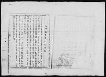 6724.王氏族谱 [5卷](别名：王忠铭公年谱(卷1)、龙梅王氏族谱(卷2-5)、Wang Shi Zu Pu).pdf电子版插图3