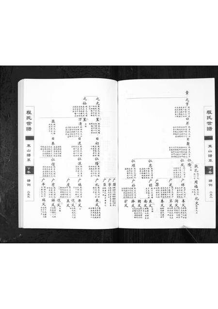 0771.程氏世谱海阳东山谱系[上中下卷](别名：Cheng Shi Shi Pu Hai Yang Dong Shan Pu Xi、程氏世谱东山谱系).pdf电子版插图3