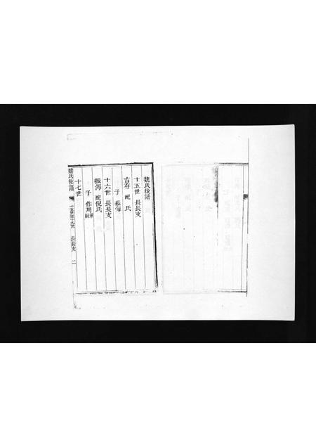 8481.盆泉魏氏族谱 [不分卷](别名：Penquan Wei Shi Zu Pu、魏氏族谱).pdf电子版插图3