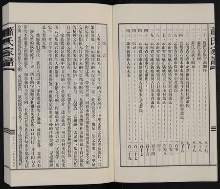 9015.萧氏家谱 ： 云贵文昭支系 [不分卷](别名：萧氏家谱).pdf电子版插图3