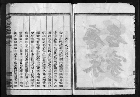 4220.厚仁胡氏宗谱 [9卷].pdf电子版插图3