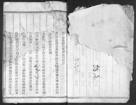 4299.松阳赖氏宗谱 [11卷].pdf电子版插图3