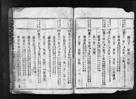 4327.吴宁厉氏宗谱 [残卷](别名：Wuning Lishi Zongpu、吴宁厉氏宗谱).pdf电子版插图3