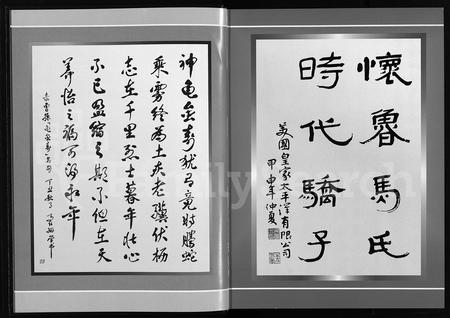 4391.茂陵马氏怀鲁宗谱(别名：茂陵马氏宗谱、茂陵马氏怀鲁宗谱).pdf电子版插图3