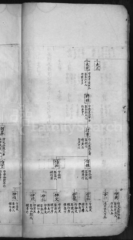 4419.泰川潘氏族谱 [残卷](别名：闼川潘氏族谱、永嘉柟溪闼川潘氏族谱、Da Chuan Pan Shi Zu Pu).pdf电子版插图3