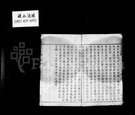 4520.王氏通谱 [106卷,首2卷].pdf电子版插图3