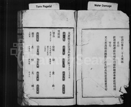 4544.王氏宗谱.pdf电子版插图3 4544.王氏宗谱.pdf电子版插图3