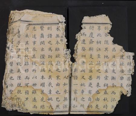 4736.金华姚车姚氏宗谱 [残卷](别名：姚氏宗谱).pdf电子版插图3