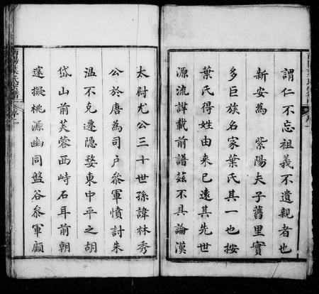 4739.南阳叶氏宗谱 [39卷,首末各1卷](别名：南阳叶氏正宗谱).pdf电子版插图3