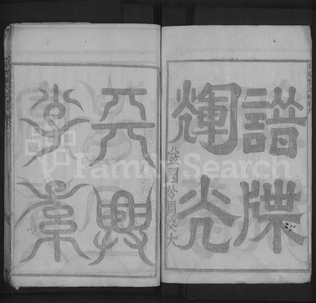 4749.荷塘叶氏宗谱 [5卷].pdf电子版插图3