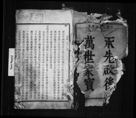 4809.高峰张氏宗谱 ： [6卷].pdf电子版插图3