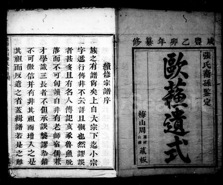 4822.暨阳张氏宗谱 [12卷](别名：暨阳嵩山张氏宗谱).pdf电子版插图3