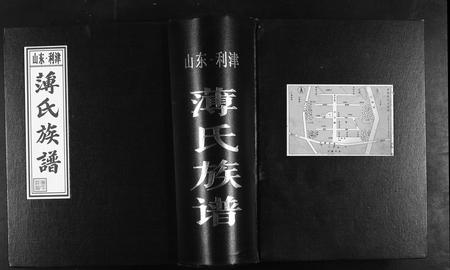 山东薄氏-薄氏族谱[不分卷].pdf电子版插图