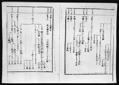 3742.廖氏族谱 [残卷](别名：Liao Shi Zu Pu、廖氏族谱).pdf电子版插图4