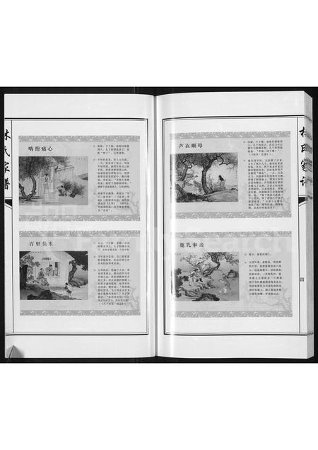 3782.林氏家谱 ： 靖西县荣劳街双桂堂(别名：林氏家谱).pdf电子版插图4