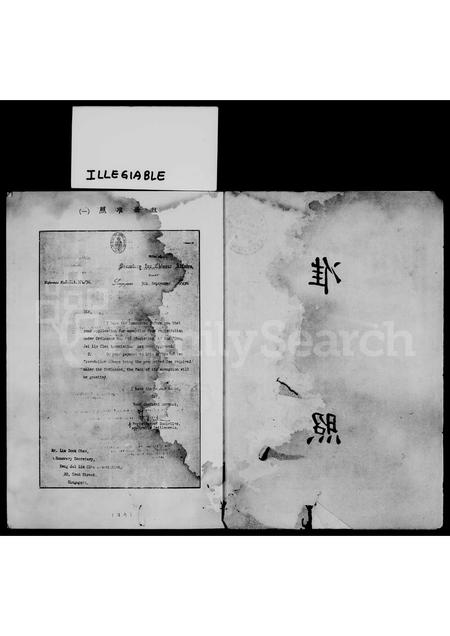 3821.星洲琼崖林氏公会  纪念刊.pdf电子版插图4 3821.星洲琼崖林氏公会  纪念刊.pdf电子版插图4