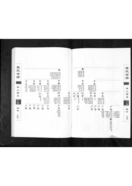 0771.程氏世谱海阳东山谱系[上中下卷](别名：Cheng Shi Shi Pu Hai Yang Dong Shan Pu Xi、程氏世谱东山谱系).pdf电子版插图4