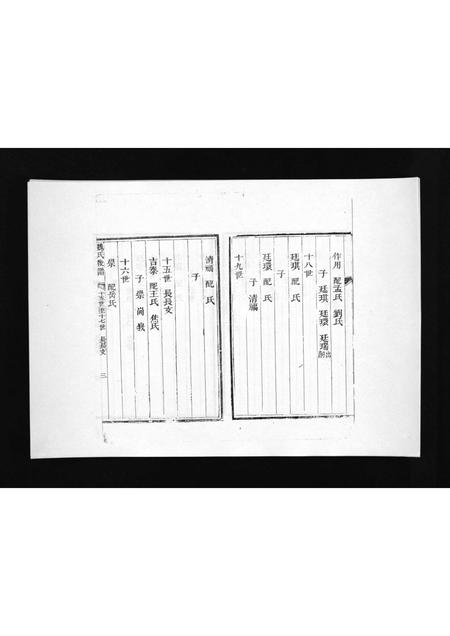 8481.盆泉魏氏族谱 [不分卷](别名：Penquan Wei Shi Zu Pu、魏氏族谱).pdf电子版插图4