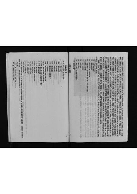 8961.萧氏家谱 [不分卷](别名：Xiao Shi Jia Pu、萧氏家谱).pdf电子版插图4