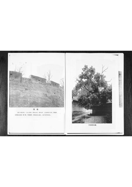 1008.丁家焦窦丁氏族谱 [1册](别名：Ding Jia Jiao Dou Ding Shi Zu Pu、丁氏族谱).pdf电子版插图4