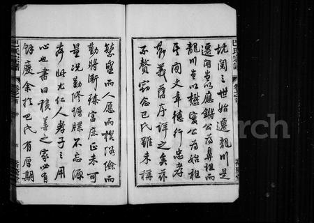 4001.巴氏宗谱 [8卷,首末各1卷](别名：龙川巴氏宗谱).pdf电子版插图4