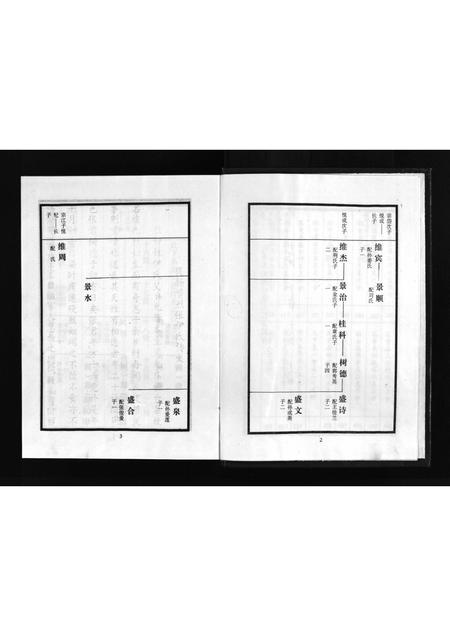 10366.张氏世谱 [2卷](别名：Zhang Shi Shi Pu、张氏世谱).pdf电子版插图4