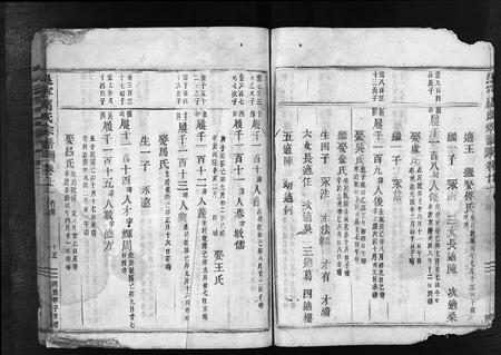 4327.吴宁厉氏宗谱 [残卷](别名：Wuning Lishi Zongpu、吴宁厉氏宗谱).pdf电子版插图4