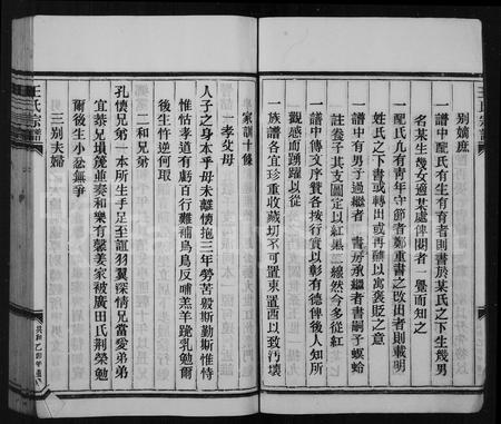 4541.王氏宗谱.pdf电子版插图4